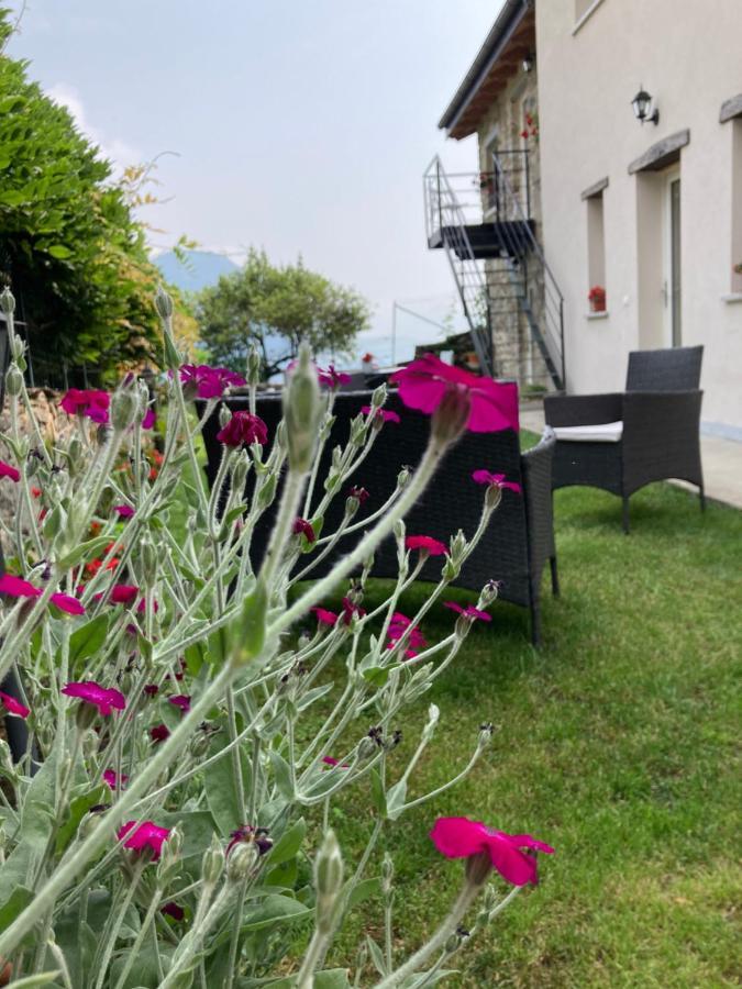 Il Riccio Di Ricciano Bed & Breakfast