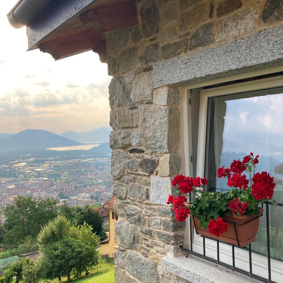 Il Riccio Di Ricciano * Casale Corte Cerro