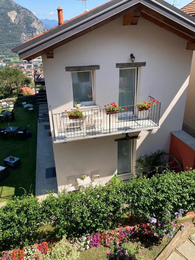 Il Riccio Di Ricciano Couette-café Casale Corte Cerro
