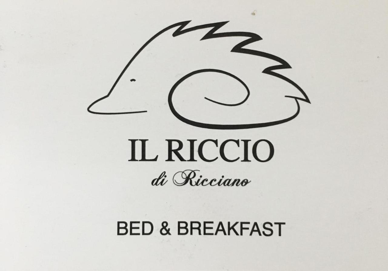 Bed & Breakfast Il Riccio Di Ricciano