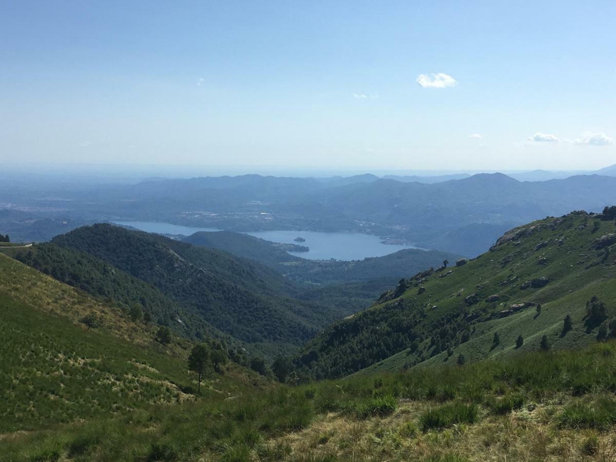 Il Riccio Di Ricciano Bed & Breakfast Casale Corte Cerro